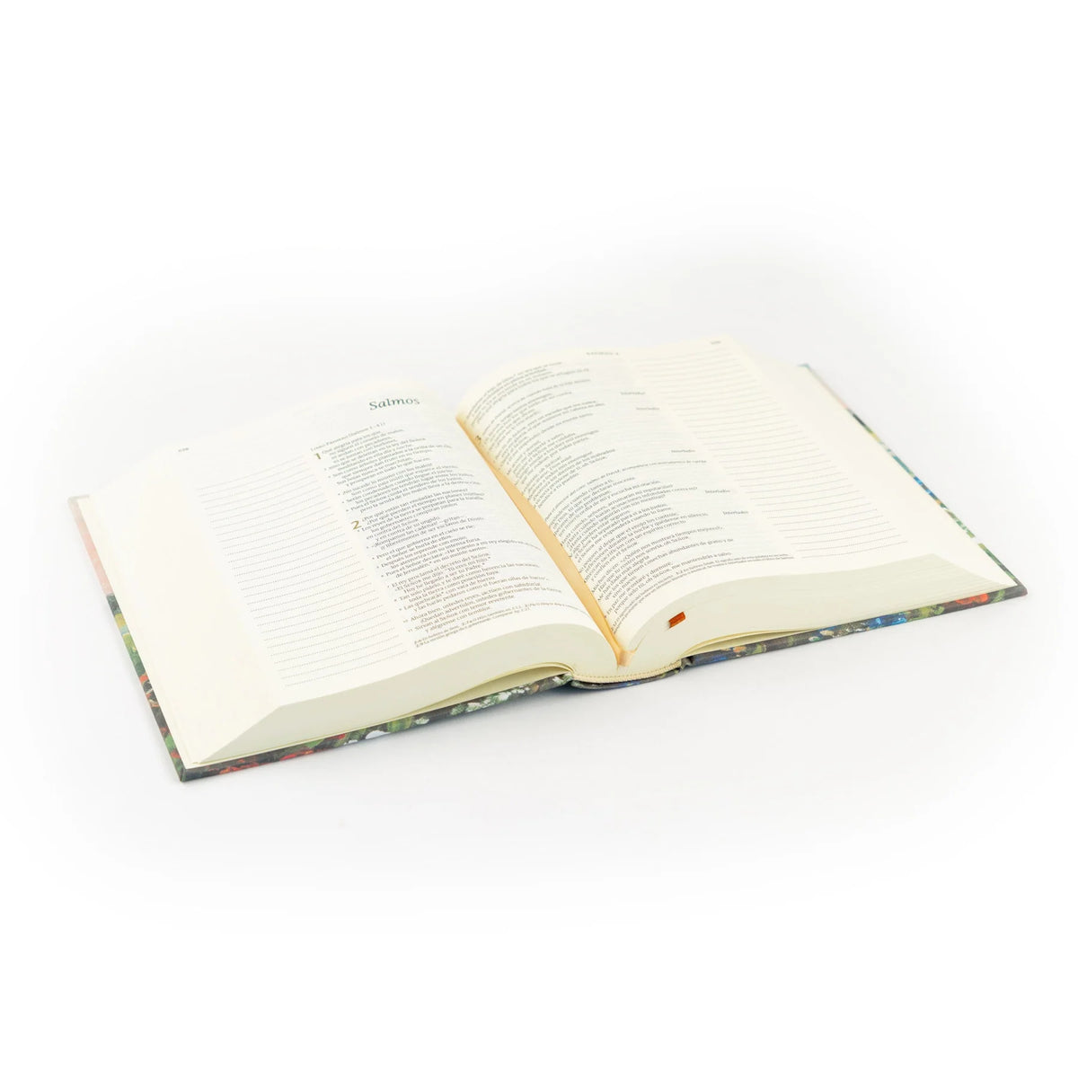 Biblia NTV para tomar notas en español: Tema Coram