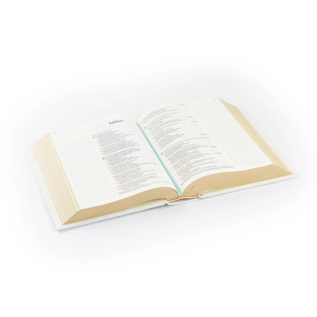 Biblia para tomar notas NTV en español: Tema Lisboa